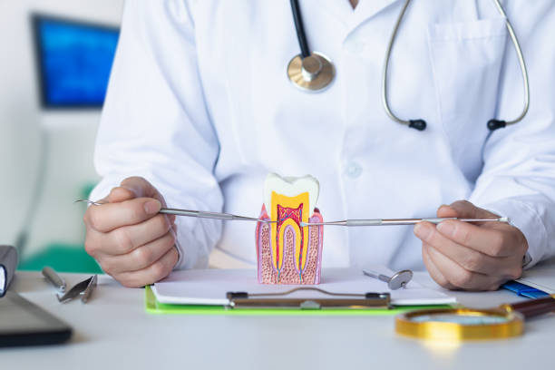 Best Emergency Dental Care for Broken or Chipped Teeth in Canyon, TX